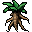 mandrake