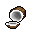coconut